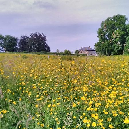 Castletownmoor Clinic & Permaculture Farm Hotel Kells  Kültér fotó