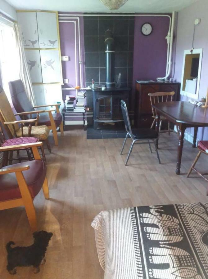 Castletownmoor Clinic & Permaculture Farm Hotel Kells  Kültér fotó