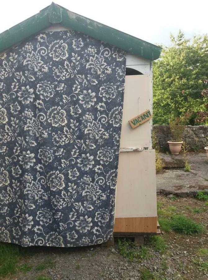 Castletownmoor Clinic & Permaculture Farm Hotel Kells  Kültér fotó