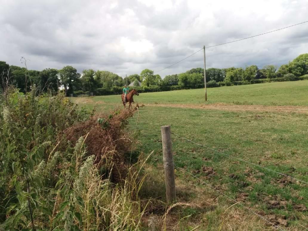 Castletownmoor Clinic & Permaculture Farm Hotel Kells  Kültér fotó