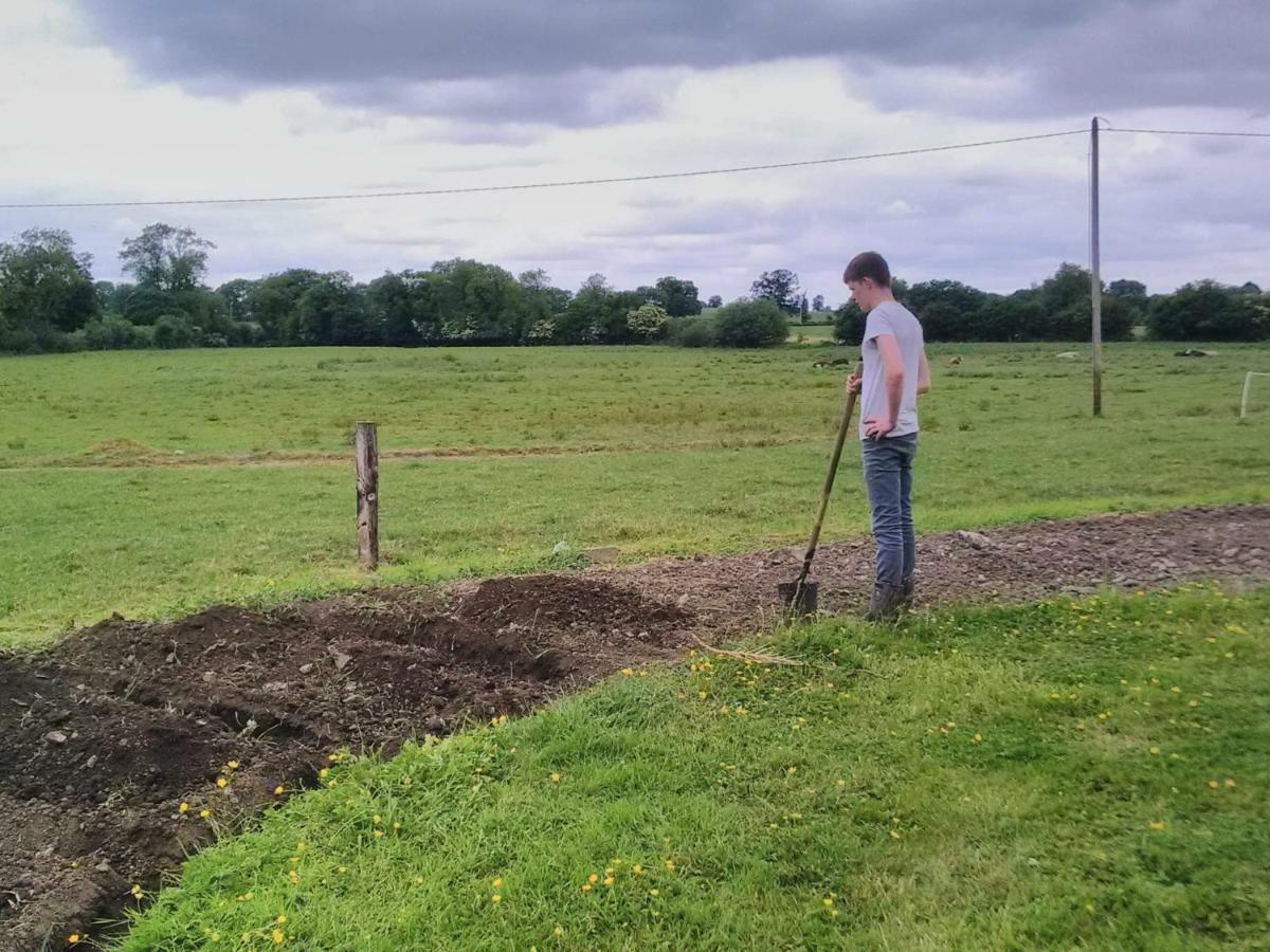 Castletownmoor Clinic & Permaculture Farm Hotel Kells  Kültér fotó