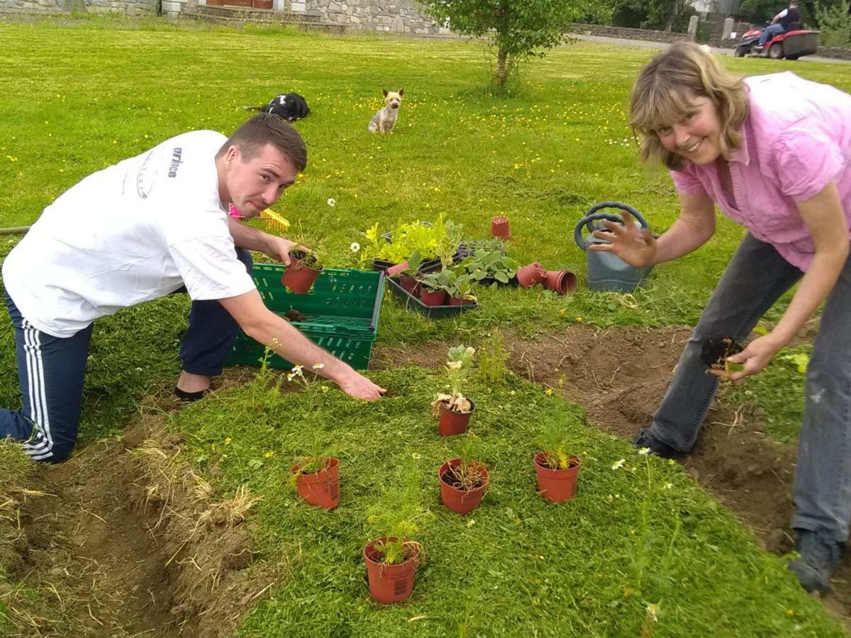Castletownmoor Clinic & Permaculture Farm Hotel Kells  Kültér fotó