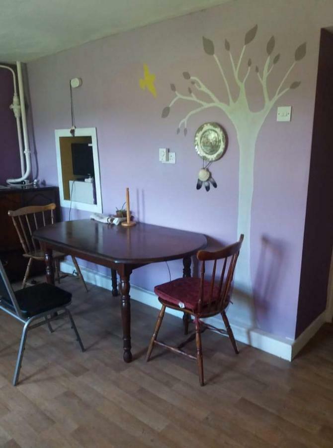 Castletownmoor Clinic & Permaculture Farm Hotel Kells  Kültér fotó
